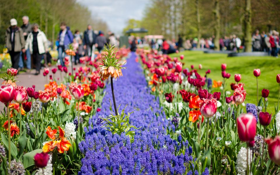 Amsterdam: Keukenhof, Tulip Farm Full-Day Tour With Cruise - Reserve Now & Pay Later