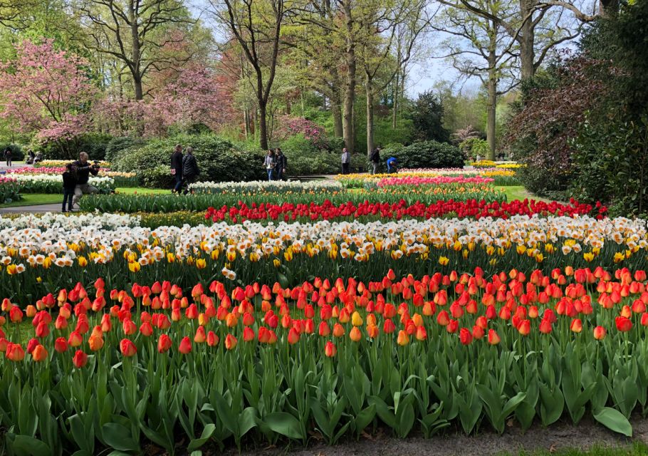 Amsterdam: Keukenhof Tulip Garden and Giethoorn Experience - Overall Experience and Visitor Feedback