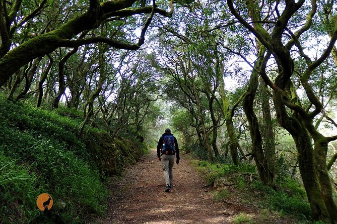 An Adventure Through the Forest and Palace of Bussaco - Coimbra - Tour Inclusions