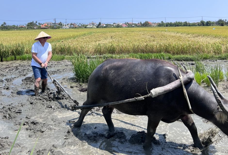 An Incredible Hoi an - Water Buffalo Riding & Cooking Class - Overall Experience