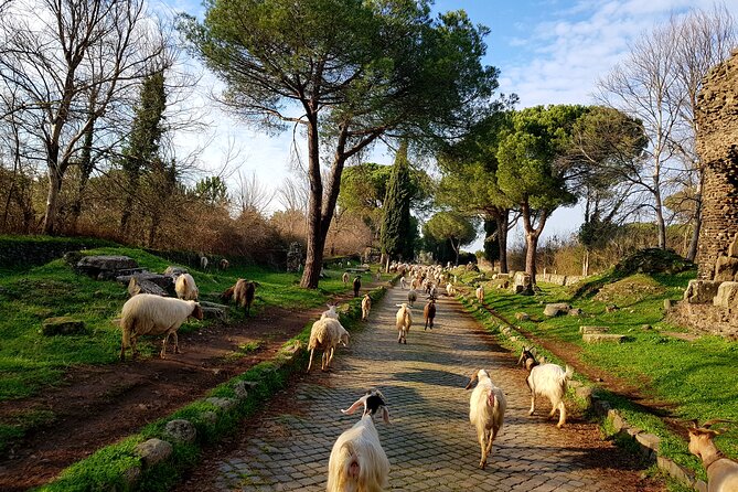 Ancient Appian Way and Roman Countryside E-Bike Tour - Customer Reviews