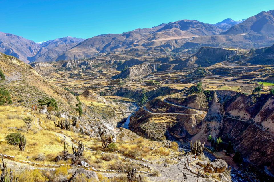 Andes: Colca Canyon Day-Trip - Live Tour Guide and Pickup Information