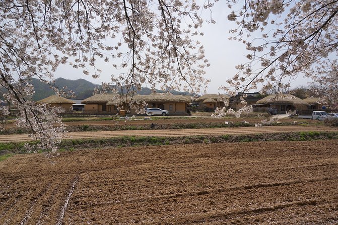 Andong Hahoe Folk Village [Unesco World Heritage] Private Tour From Seoul - Product Details