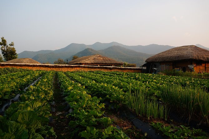 Andong Hahoe Village [Unesco Site] Premium Private Tour From Seoul - Cancellation Policy Details