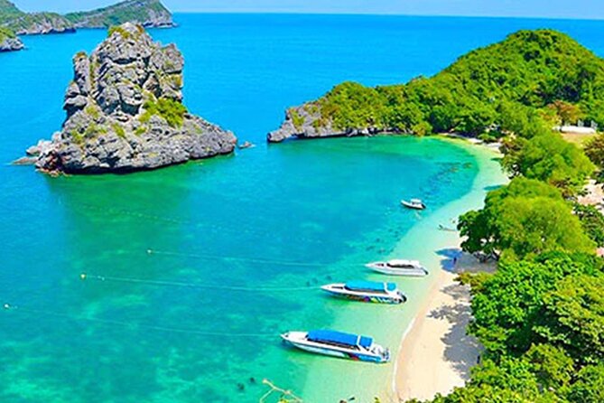 Ang Thong Marine Park Full-Day Speedboat VIP Tour - Customer Reviews