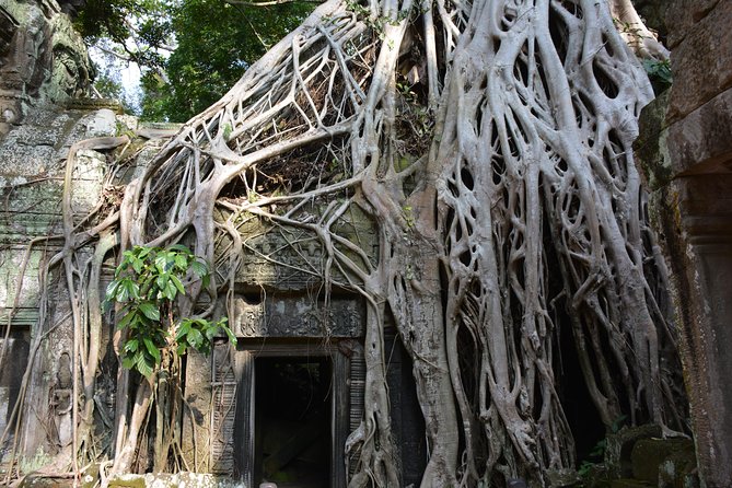 Angkor Wat 2-Day Tour From Bangkok - VIP Border Crossing Recommendations