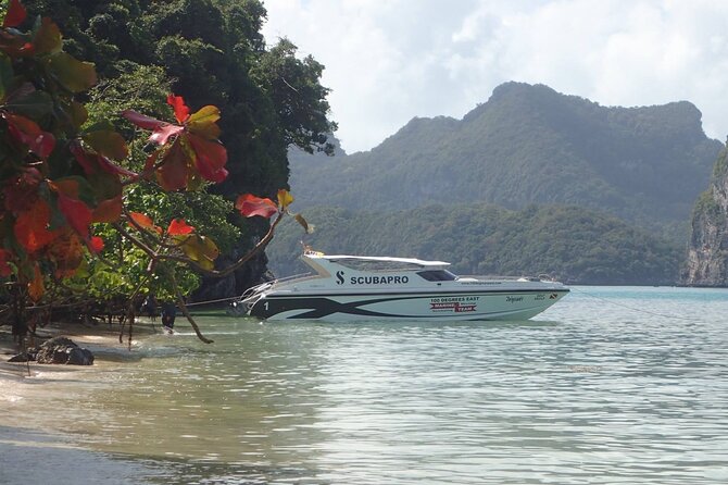 Angthong Marine Park VIP Guided Tour - Tour Highlights and Experience