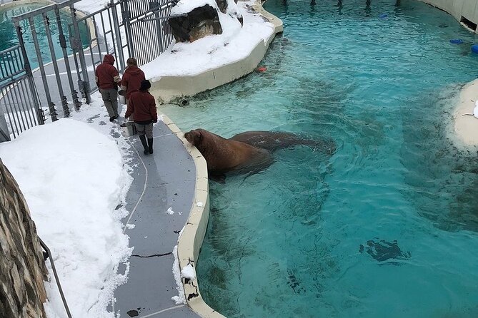 Aquarium Du Quebec: a Playground Overflowing With Life! - Planning Your Visit to Aquarium Du Quebec