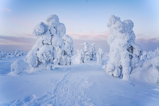 Arctic Adventure Through Magical Frozen Forests of Riisitunturi - Safety Measures for Arctic Explorers