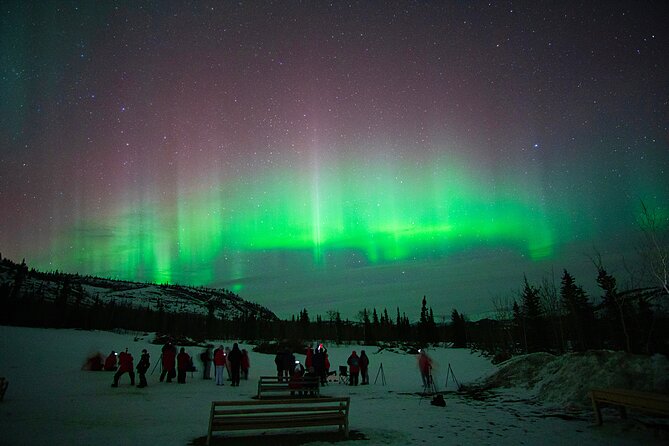 Arctic Day: Aurora Viewing Tour Evening - Booking Information