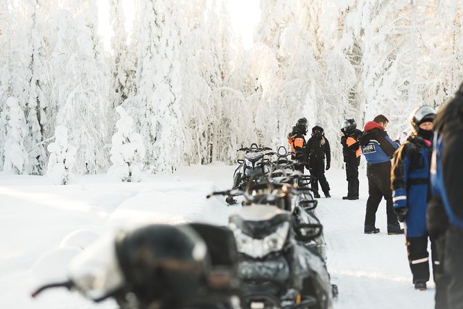 Arctic Wilderness Snowmobile Adventure With Lunch  - Rovaniemi - Last Words