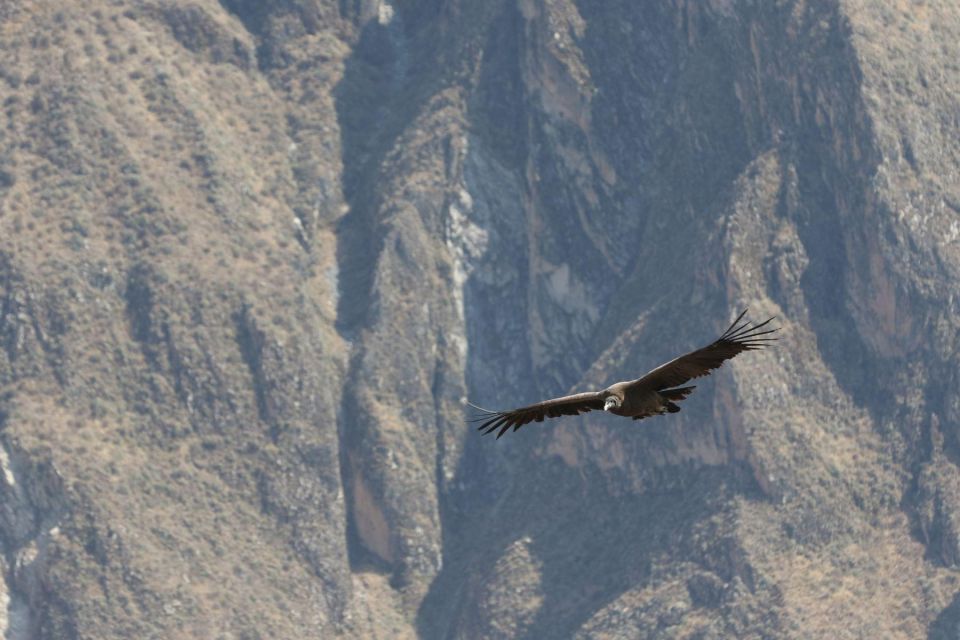 Arequipa: Colca Valley and Condor Viewpoint 2 Days/1 Night - Additional Tips for a Memorable Trip