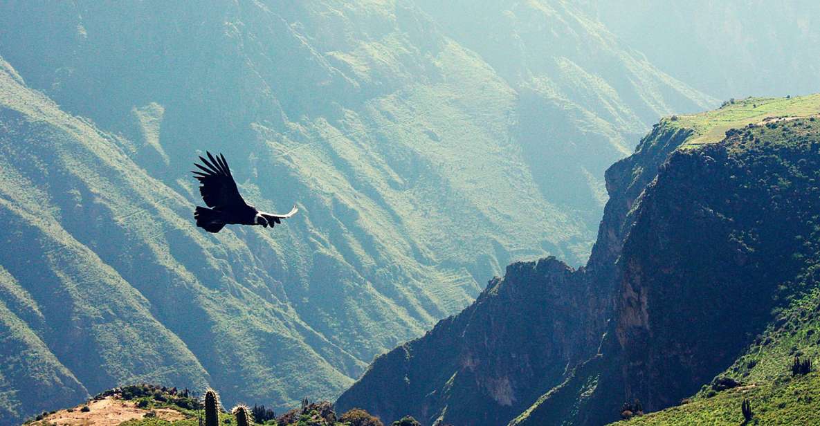 Arequipa: Excursion to the Colca Canyon Ending in Puno - Ending Details