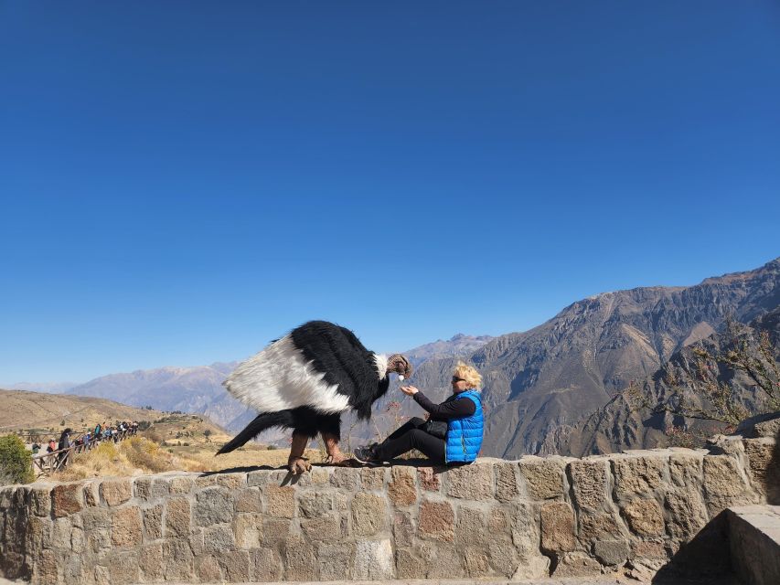 Arequipa: Full Day Tour to the Colca Canyon - Logistics