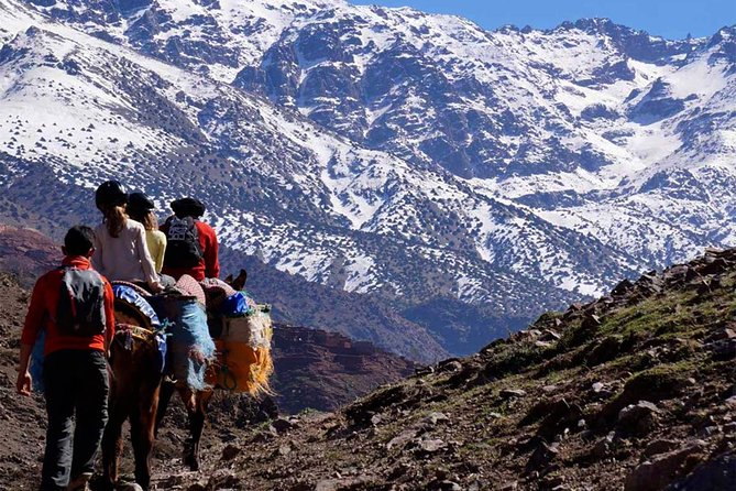 Asni and Imlil Day Tour With Lunch in Kasbah Toubkal Included - Last Words