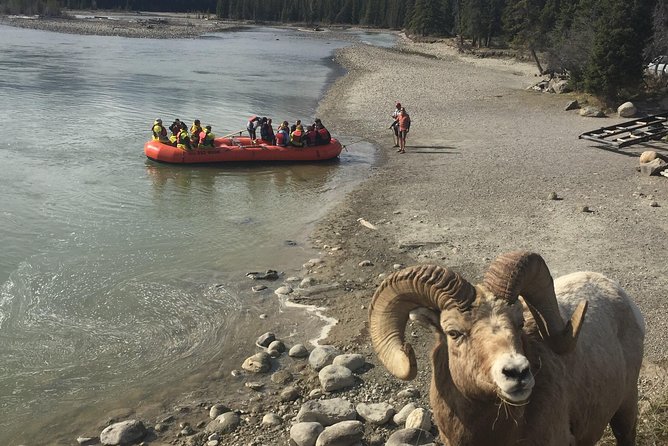 Athabasca River Easy Scenic Raft Trip - Scenic Highlights