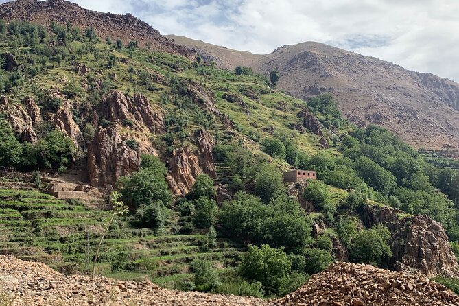 Atlas Mountain Day Trip From Marrakech - Customer Reviews