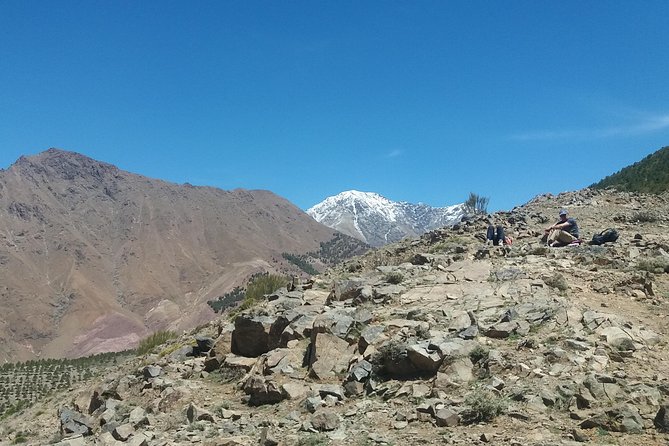 Atlas Mountains, Waterfalls and Berber Villages With a Guide - Gastronomic Experience