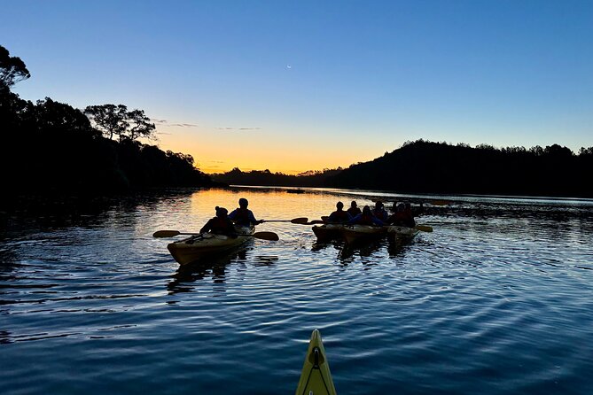 Auckland Bioluminescence Kayak Tour - Booking and Contact Information
