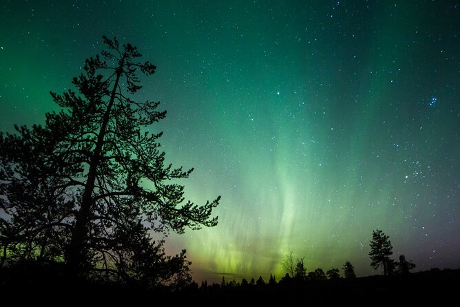 Aurora Borealis Quest: Private Yukon Nighttime Tour - Common questions