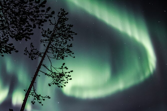 Aurora Hunting Photo Tour From Rovaniemi With Pickup