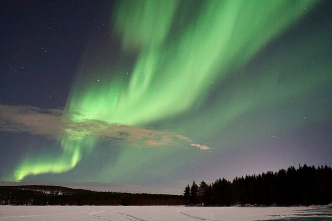 Aurora Hunting Photo Tour With Barbeque - Weather Considerations and Experience Satisfaction