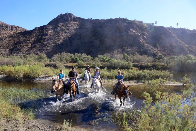 Authentic Horseback Riding in Beautiful La Mision - Recommendations for Future Visitors