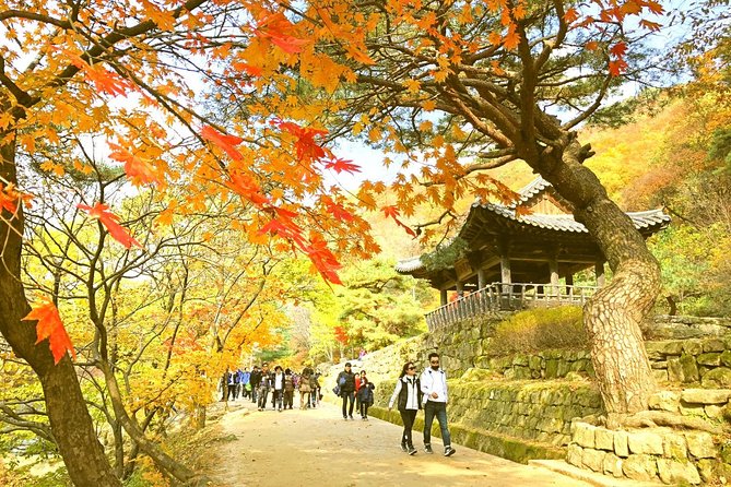 Autumn 8 Days South Korea Tour Including Jeonju,Damyang,Mt.Naejangsan - Common questions