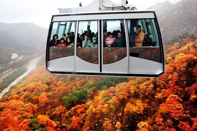 Autumn Limited: Seoraksan X Maple Mountain Cable Car Tour - Itinerary Highlights