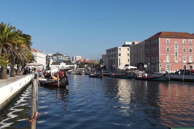 Aveiro and Coimbra Small Group Tour With River Cruise From Porto - Guide Insights and Multilingual Support