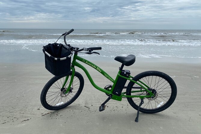 Avocado Electric Bicycle Rental at Hilton Head Island - Inclusions and Accessibility