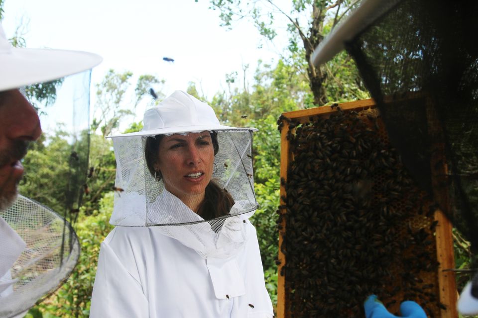 Azores Beekeeping Tour and Honey Taste - Farm Transformation