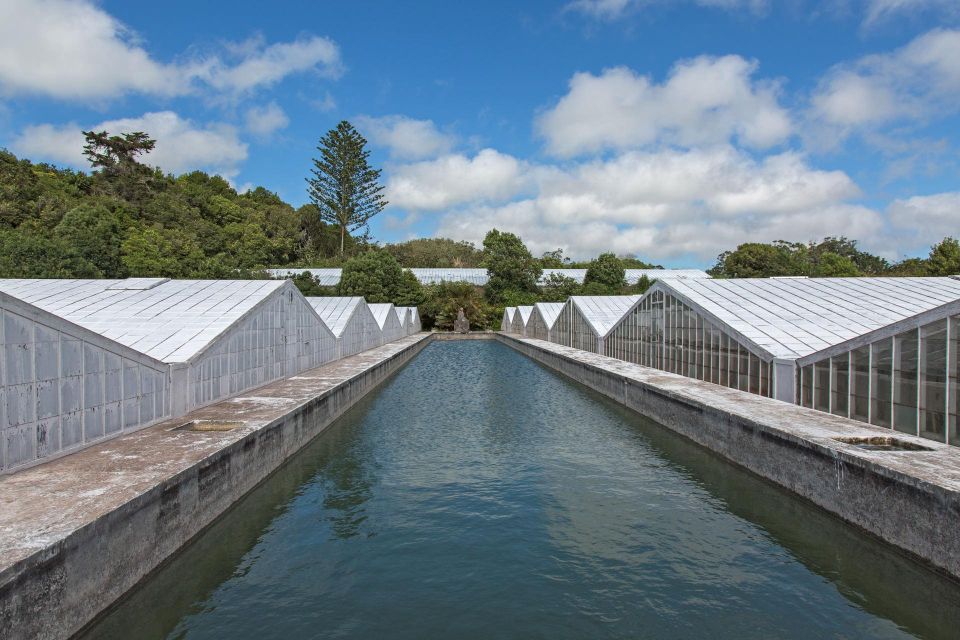 Azores: Private Tour Sete Cidades Green & Blue Lakes - Free Cancellation