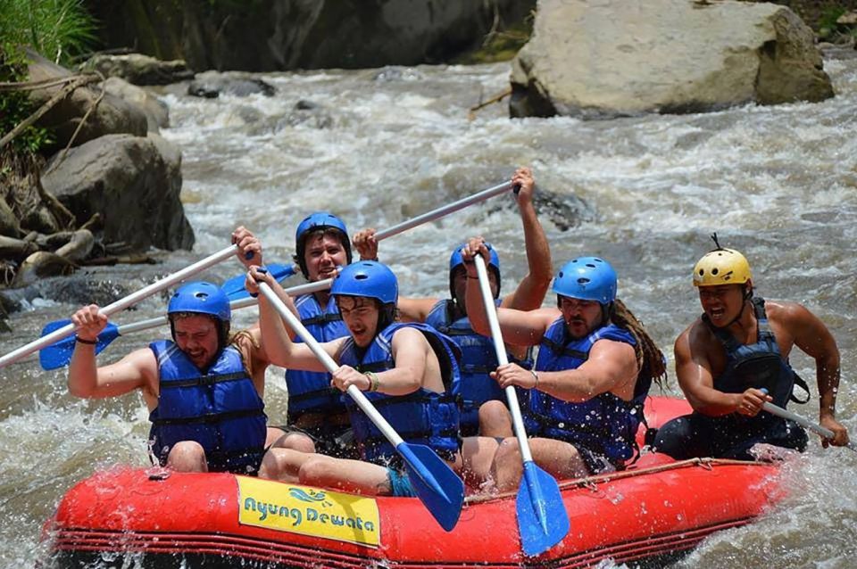 Bali: Best White Water Rafting With Lunch & Private Transfer - Optional Pickup Locations