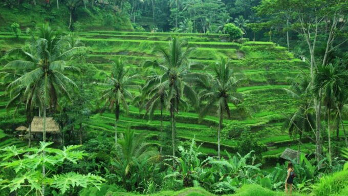 Bali Bliss: Yoga, Floating Breakfast and Rice Terrace Walk - Last Words