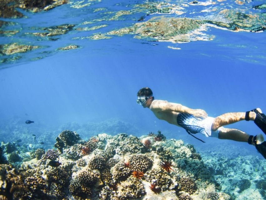 Bali Blue Lagoon Snorkeling: Inclusive of Lunch & Transport - Last Words