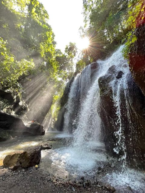 Bali : Day Trip to Besakih Temple & 2 Hidden Waterfalls - Customer Review and Additional Information