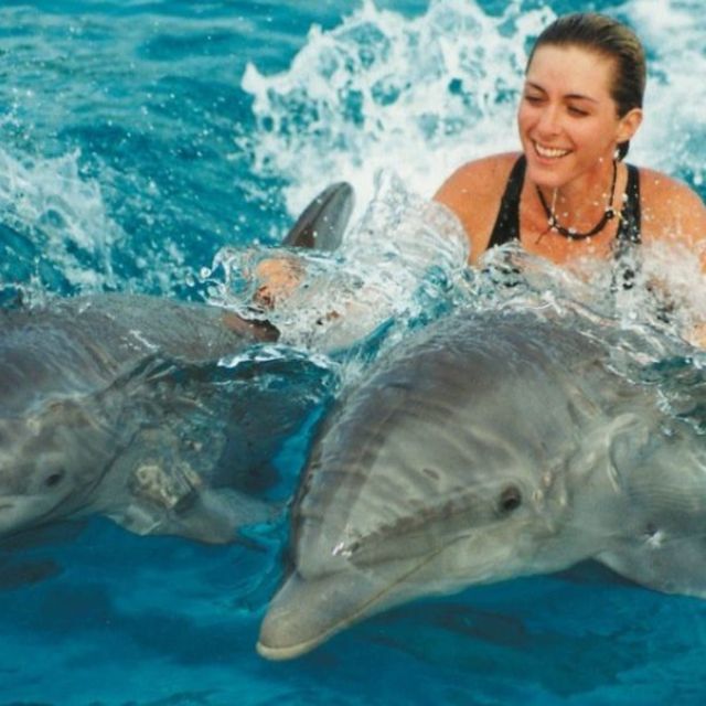 Bali : Full Day Bali Dolphin Tour - Common questions