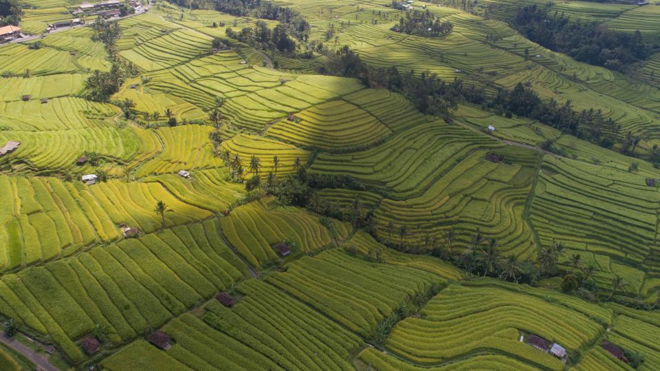 Bali Jatiluwih Rice Terrace and Tanah Lot Tours - Temple Visits on the Tour