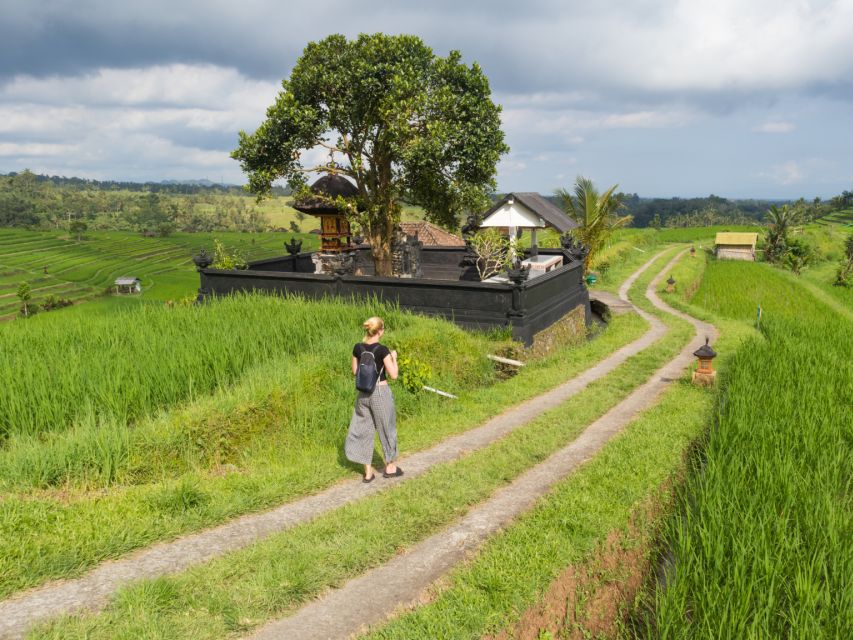 Bali: Jatiluwih UNESCO, Waterfall and Temple Private Tour - Tour Description