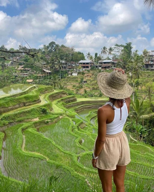 Bali: Monkey Forest, Rice Terrace & Local Night Market Tour - Dewas Exceptional Service