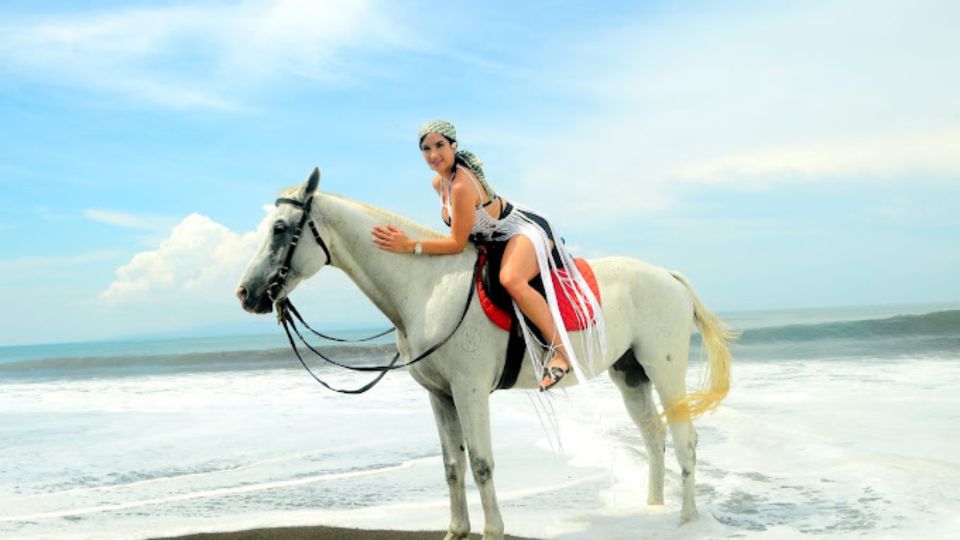 Bali: Near Sanur Beach Horse Riding Experience - Scenic Coastal Ride