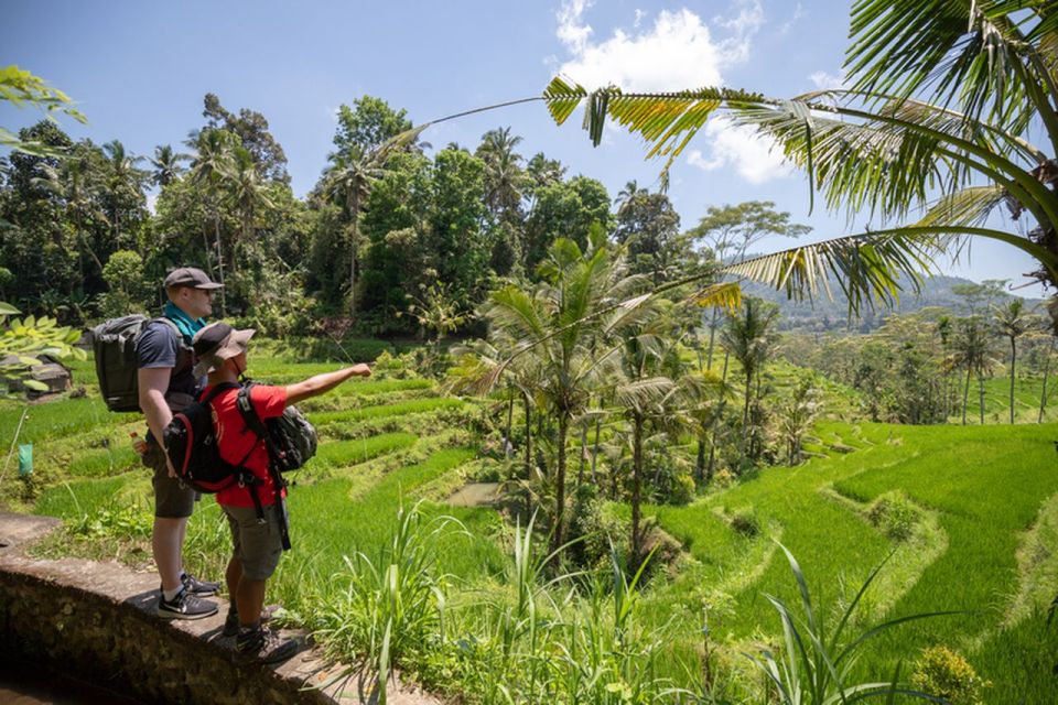 Bali: Rice Terraces Guided Hiking Experience - Location & Logistics