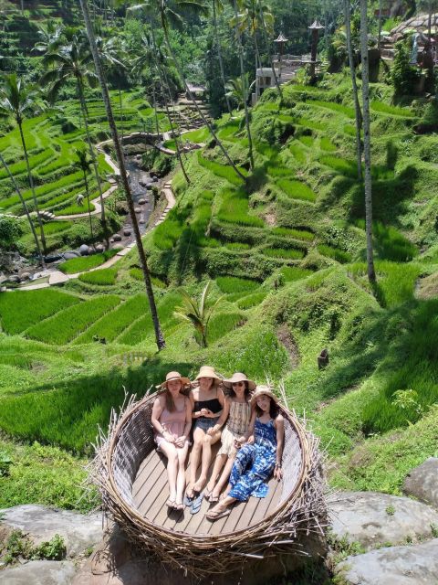 Bali Romantic Swing, Rice Terrace and Waterfall - Activity Highlights and Inclusions