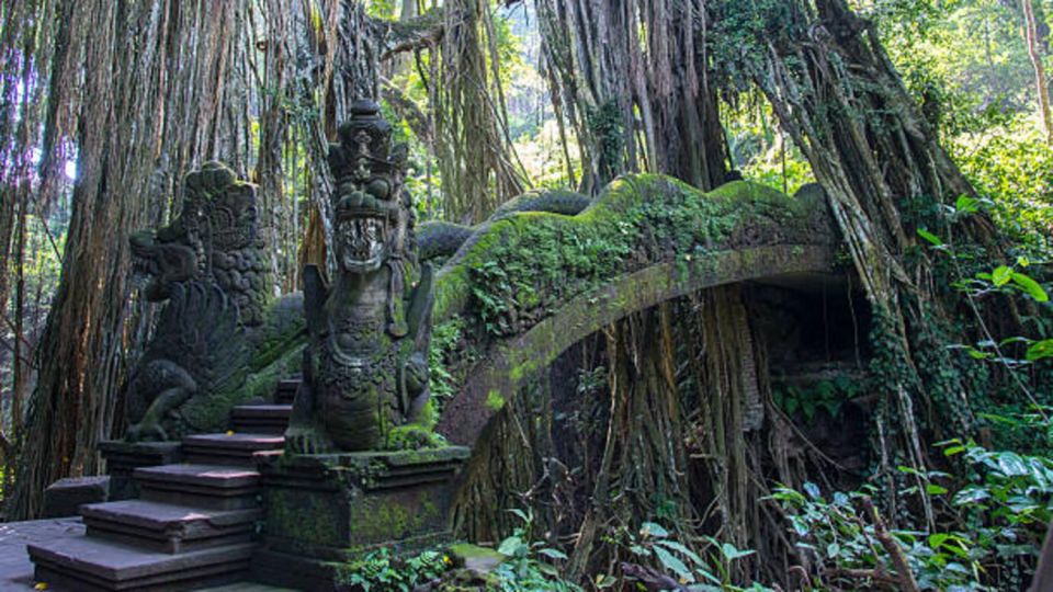 Bali: Ubud Monkey Forest & Waterfall - Directions