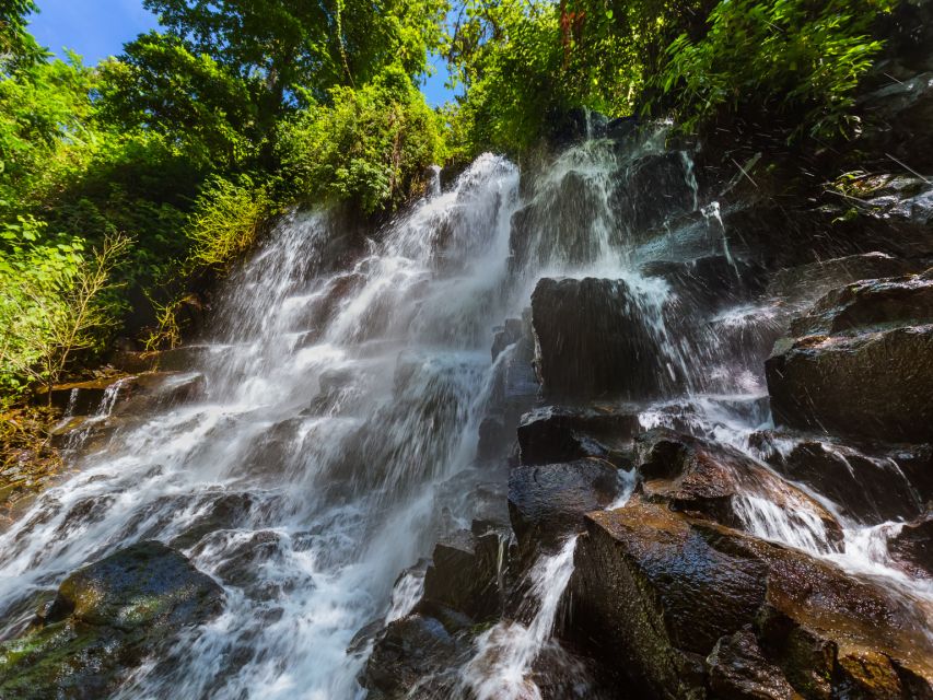 Bali : Ubud Tropical Trails, Waterfall & Rice Terraces. - All-Inclusive Tour Package