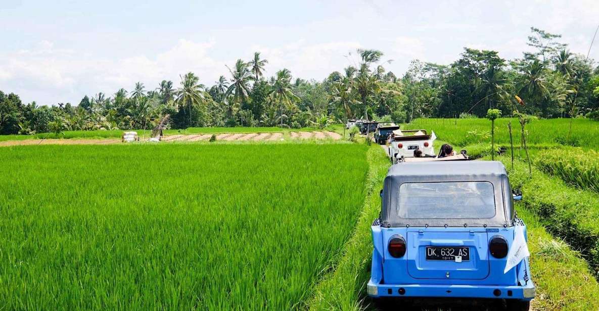 Bali: Vintage VW Jeep Countryside Safari - Last Words