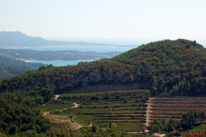 Bandol Wine Tour - 4 Hour Private Tour - Last Words