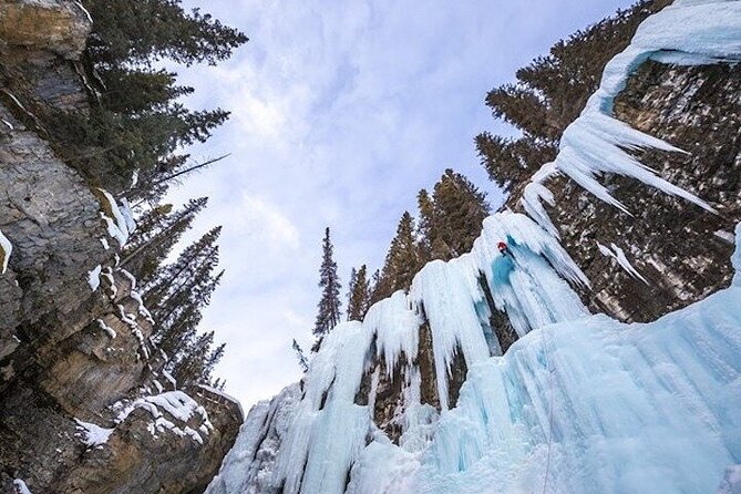 Banff Area & Johnston Canyon 1-Day Tour From Calgary or Banff - Weather Contingency Plan