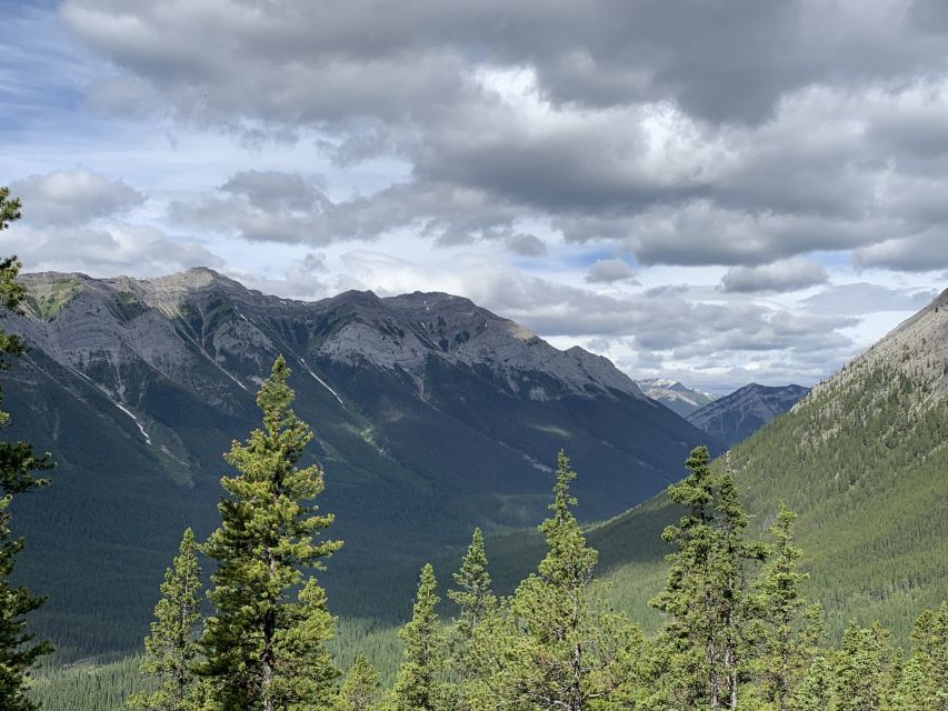 Banff: Bear Country Hiking Tour - Full Day Hike /6hrs - Additional Information